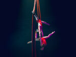AirGym Art Company