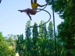 AirGym Art Company