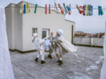 Holektiv