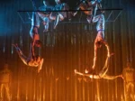 Losers Cirque Company