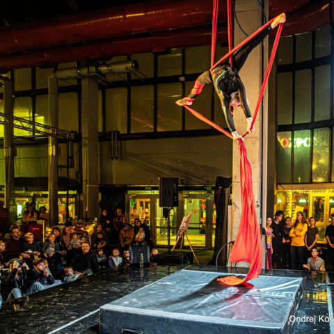Noc cirkusu Bratislava